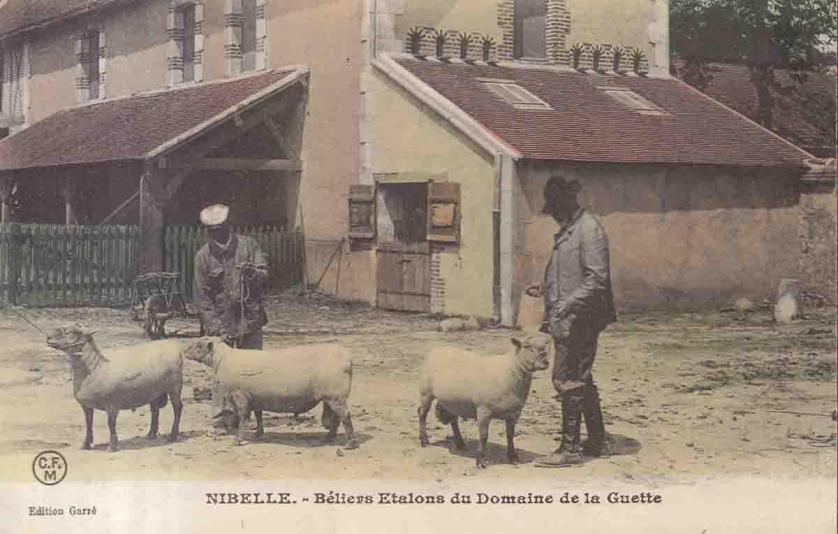 45--Nibelle 6 Ferme Leveillé-Nizerolle