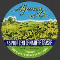 Ajoncs-03nv (Ploneis 03)