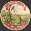 Ambacher-01 Fable-CB01nv