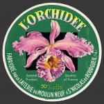 Orchidee-02nv (StNicBourgueil)