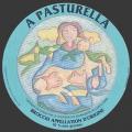 Pasturella-1 (Corte 01nv)