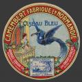 Somme-175nv Bleu-Oiseau-5