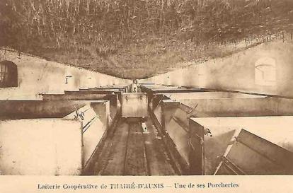 17-Thairé d'Aunis Porcherie