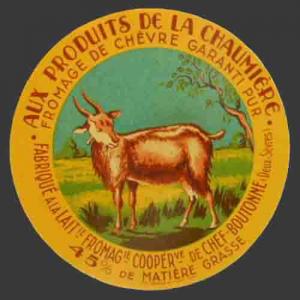 2-sevres-1203nv (Chef-Boutonne 01)