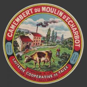 2-sèvres-354nv  Coop-Taizé 04