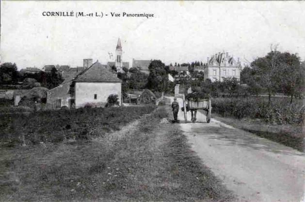 49-Cornille