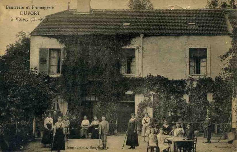 52 voisey