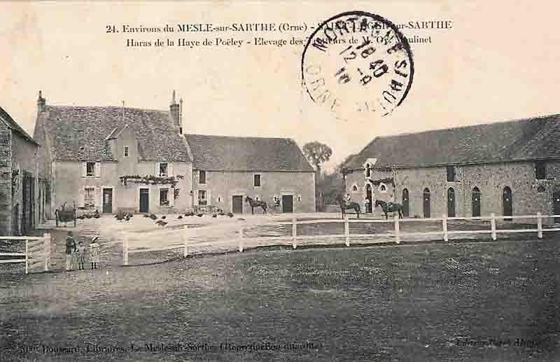 61 saint leger sur sarthe le haras de poeley vers 1909 1910