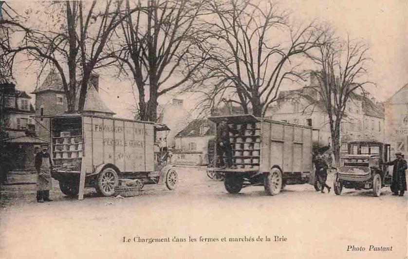 77-Avon Penelle-Goga