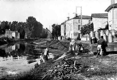 79-Coulon-4 (arrivée lait)