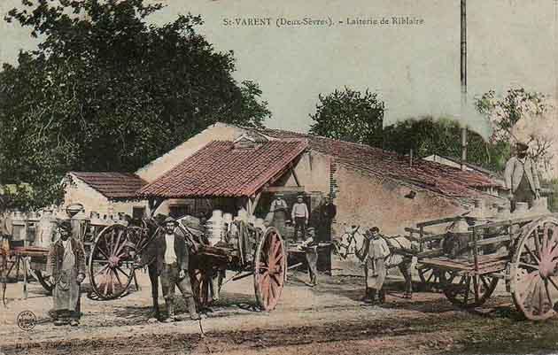 79 lait-riblaire (St-Varent 1nv)