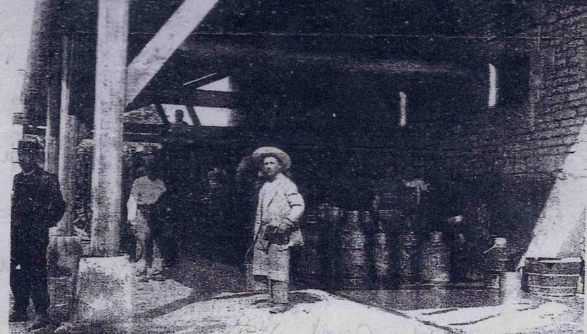79-Magné-1nv (laiterie vers 1900)