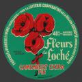 Coquelicot-01.jpg