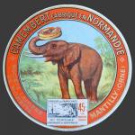 Elephant-01.jpg