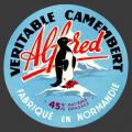 alfredcam-1.jpg