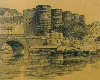 anjou-01.jpg