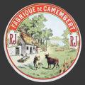 Anjou-10nv (CamRL-01)