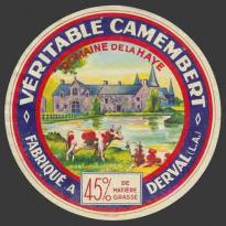 Baron-14nv (Derval-14)