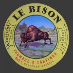 bison-03.jpg