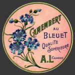 Bleuet-12nv