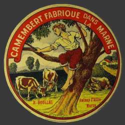 Boullez-50nv (Aulnay l'aitre)