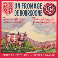 Carre neuvy 03