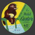 castor-01-1.jpg