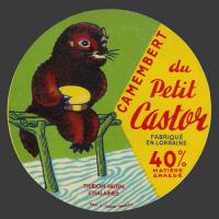 castor-03.jpg