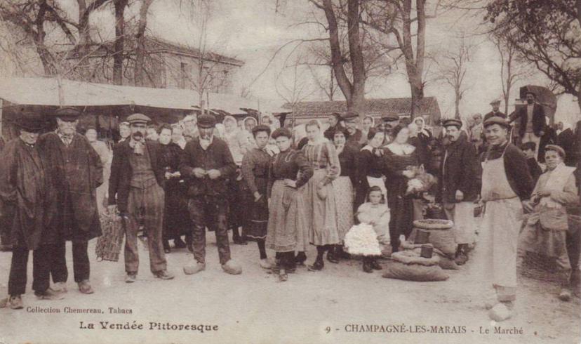 Champagné-les-M