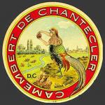 Chantecler-17nv Manche 50