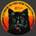 Chat-72bnv (Sarthe 72b)