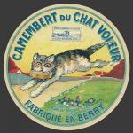 Chat voleur 1nv