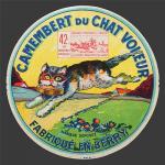 Chat voleur 3nv