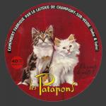 chatpatapon-1.jpg