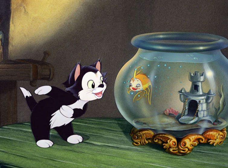 Chats celebres
