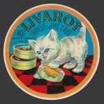 chatvimout-1.jpg