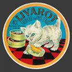 chatvimout-2.jpg