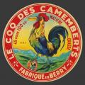 Cher-821nv Passat coq21