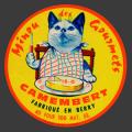 Cher-chat-01
