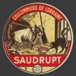 chien-saudrupt1.jpg
