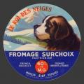 chien-st-bernar-1.jpg