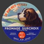 chien-st-bernar-1.jpg