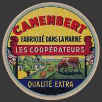 Coop-515nv (vitry francois)