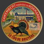 Coq-Bruyere (leMesle 08nv)