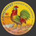 Coq-Charente-2 (SteSevere 2nv)