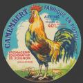 coqsoignon-1.jpg