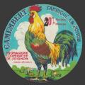 coqsoignon-3.jpg
