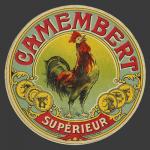 coqsuperieur-1.jpg