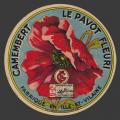 coquelicot-13.jpg