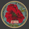 coquelicot-14.jpg